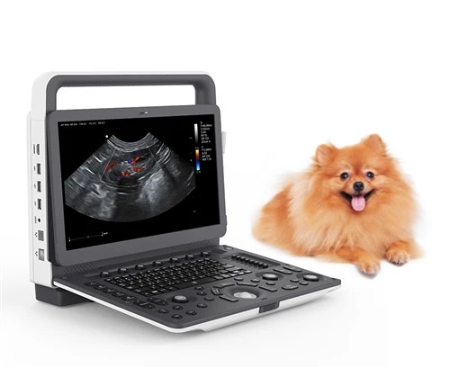 Veterinarski prijenosni klasični kolor dopler ultrazvučni sistem